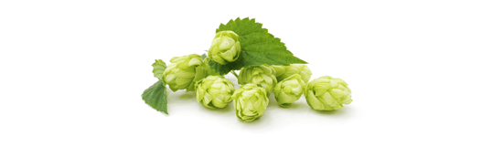 Hops