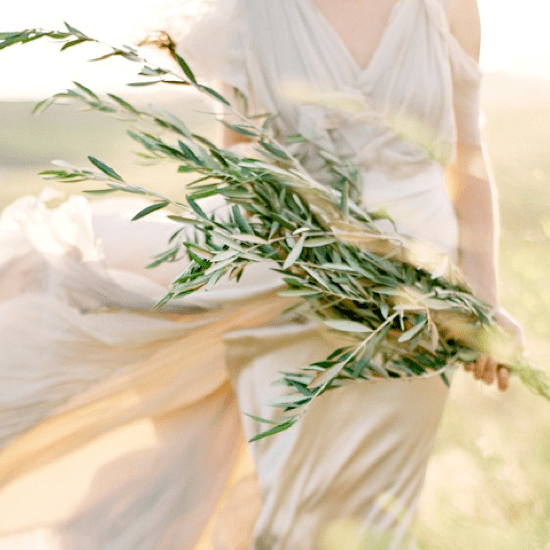 CHICA · Olives leaves