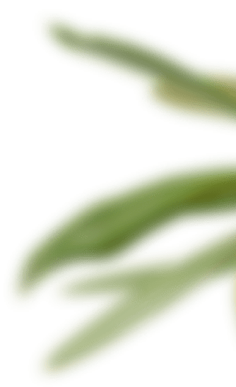 background decoration