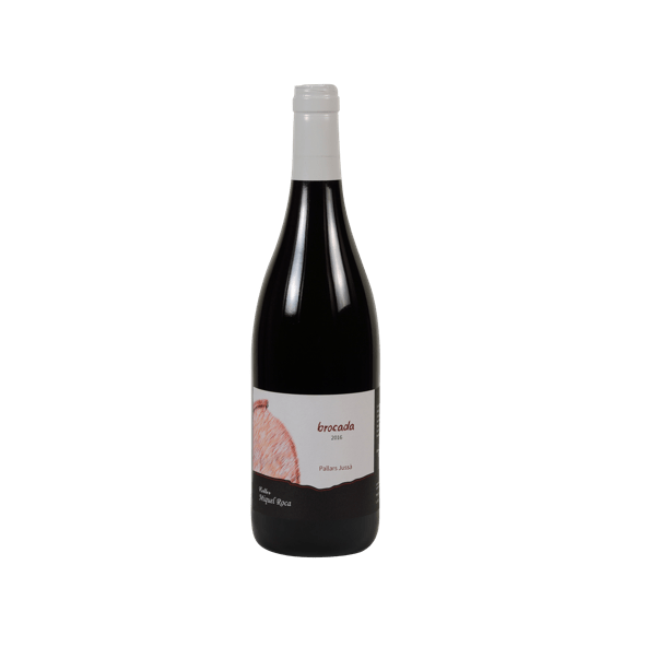 Miquel Roca wine cellar · Brocada Amphora 